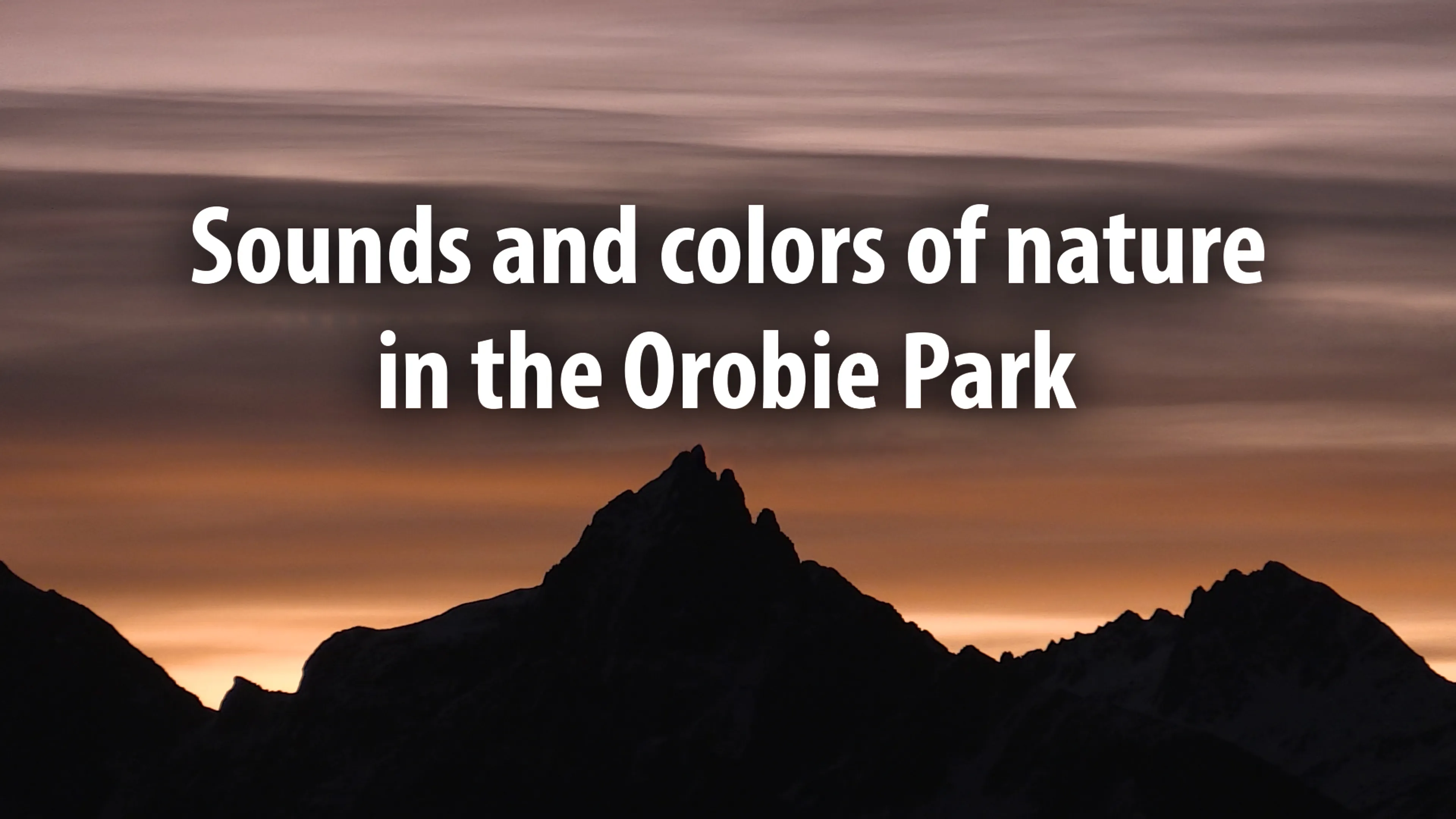 Sounds and Colors of Nature in the Orobie Park poster